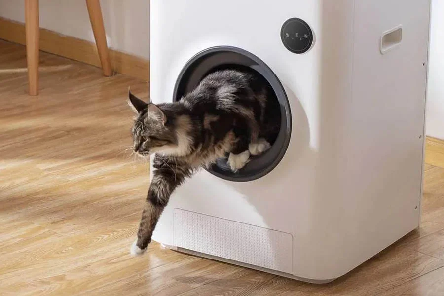 automatic kitten litter box