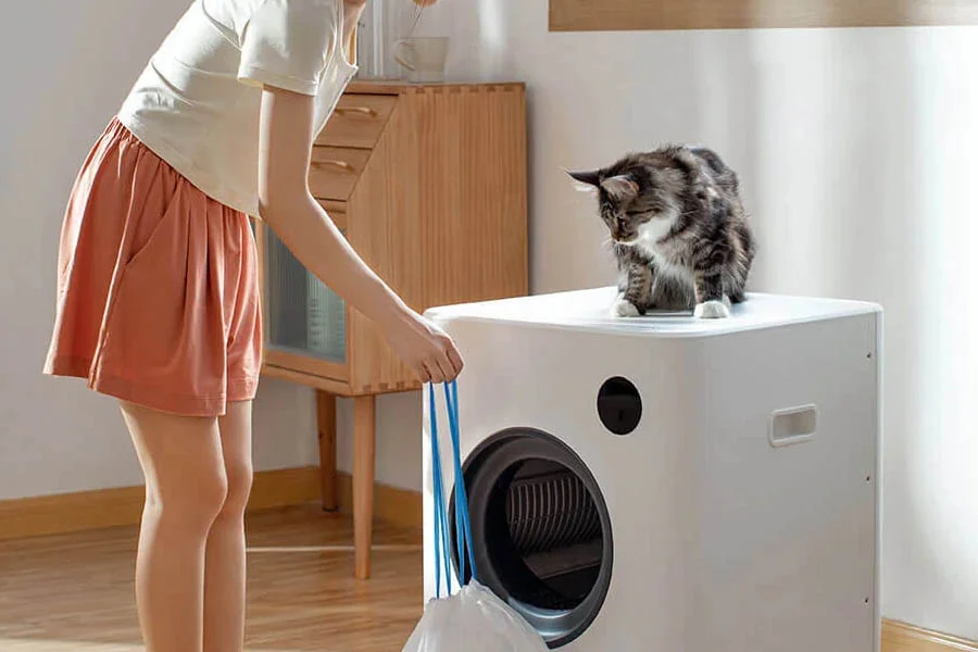 automatic kitten litter box